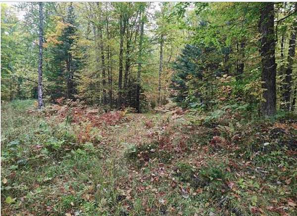 160 Acres of Recreational Land for Sale in Pelkie, Michigan