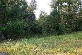 0.28 Acres of Residential Land for Sale in Toccoa, Georgia