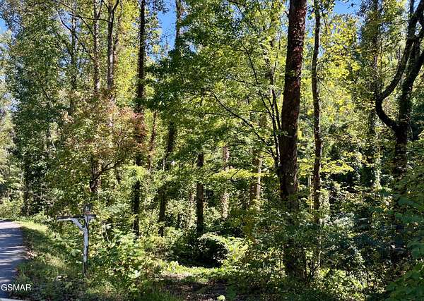 0.74 Acres of Residential Land for Sale in Sevierville, Tennessee