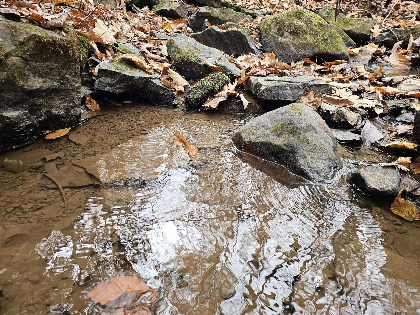 48 Acres of Recreational Land for Sale in Rock, West Virginia