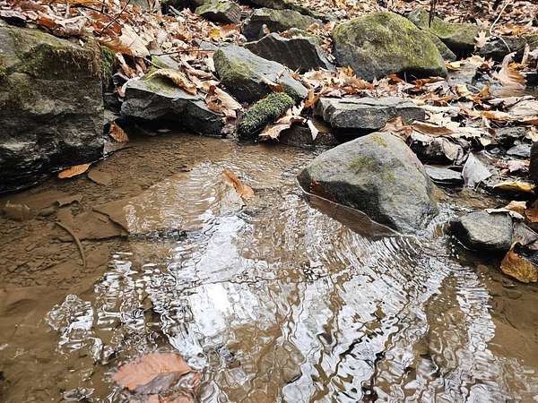 48 Acres of Recreational Land for Sale in Rock, West Virginia