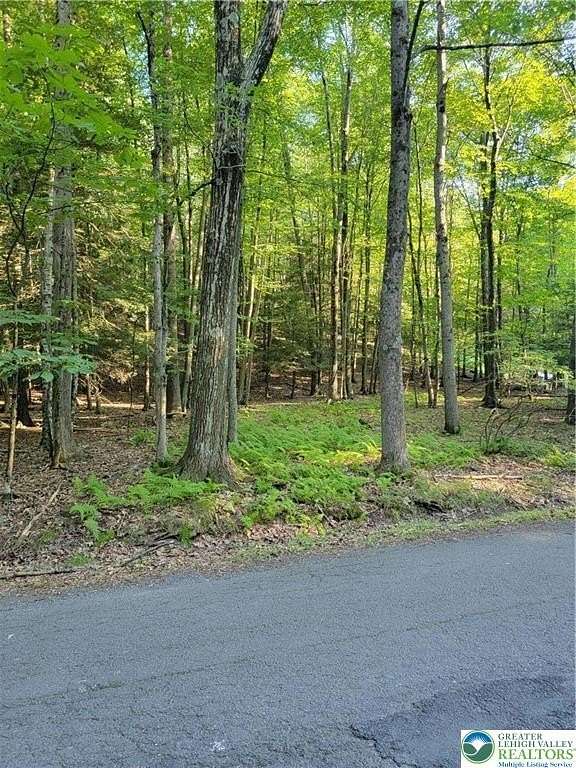 0.51 Acres of Residential Land for Sale in Cresco, Pennsylvania