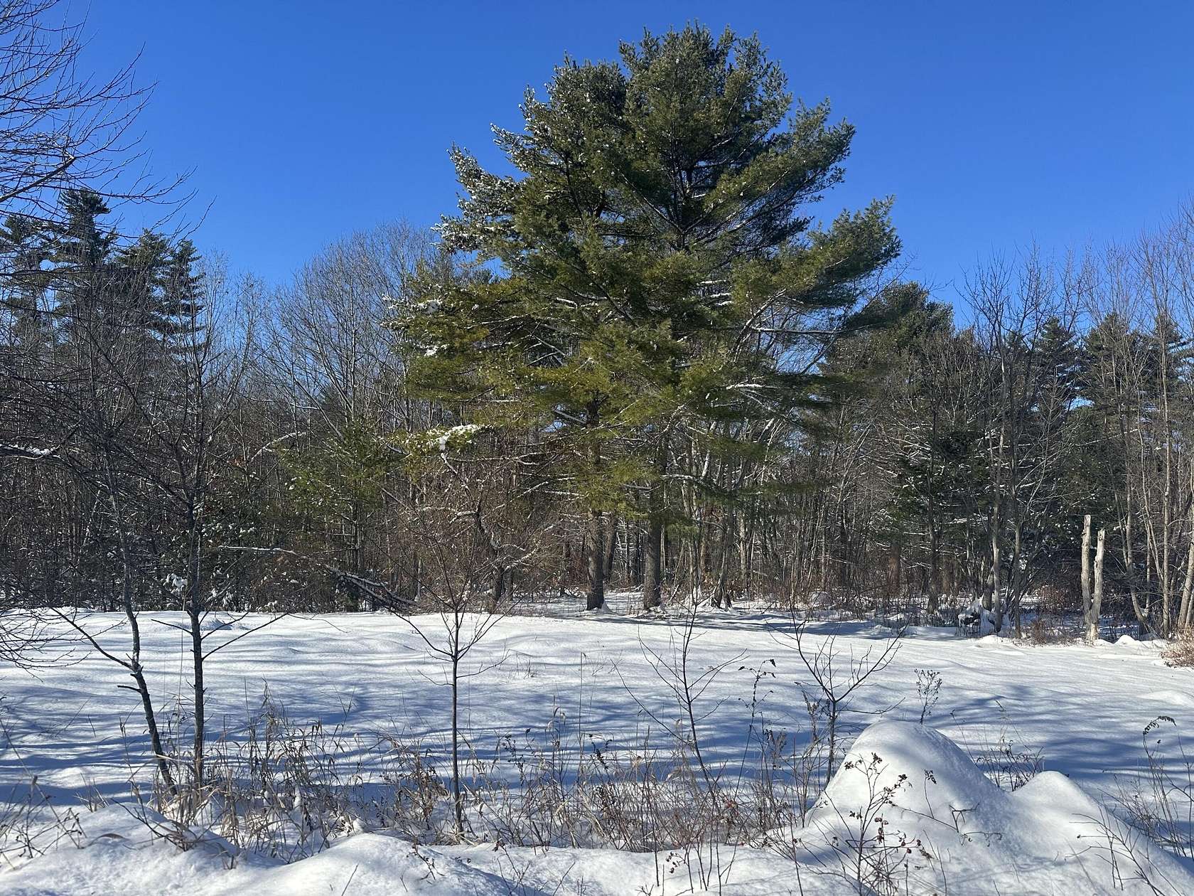 4.48 Acres of Residential Land for Sale in Fryeburg, Maine