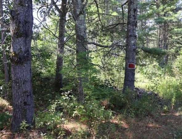 23 Acres of Land for Sale in Warren, Maine