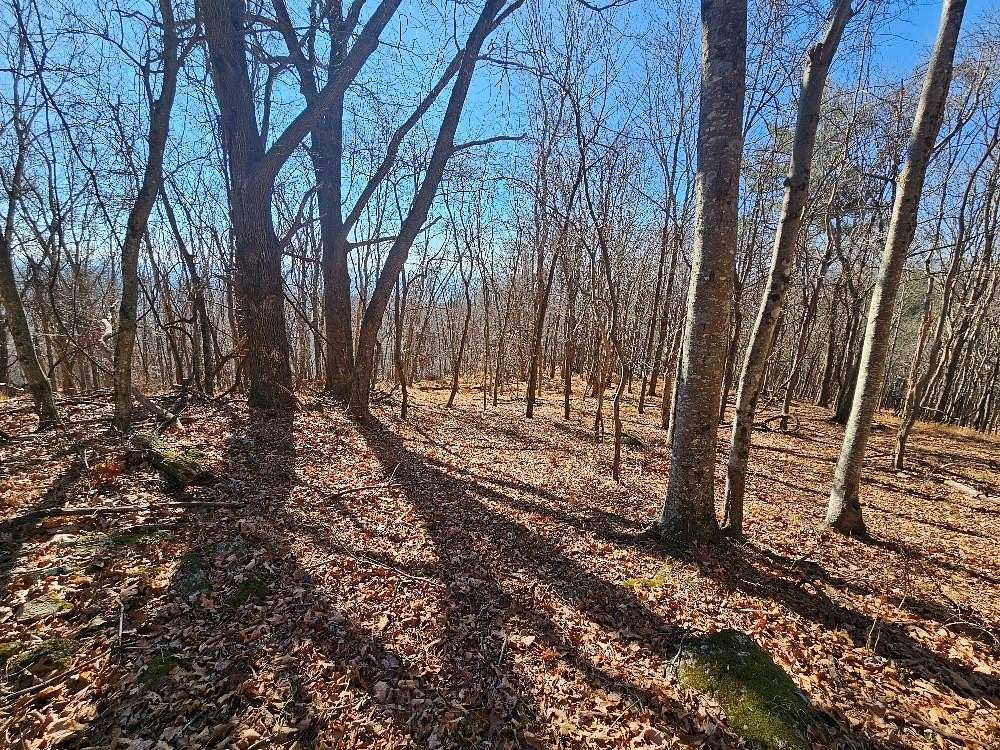 7.66 Acres of Land for Sale in Fries, Virginia