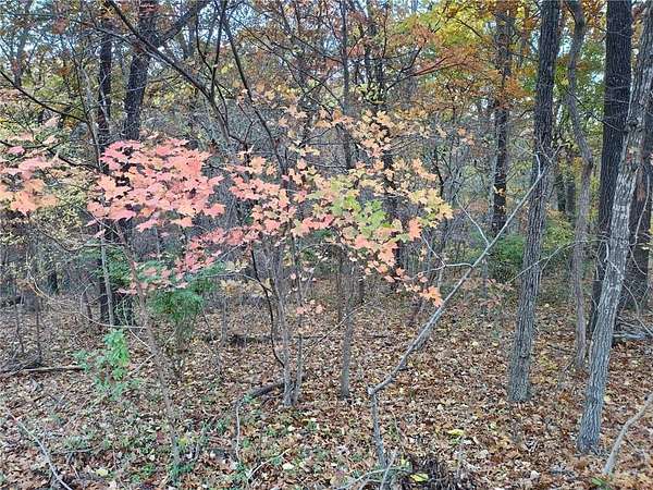 0.28 Acres of Residential Land for Sale in Bella Vista, Arkansas