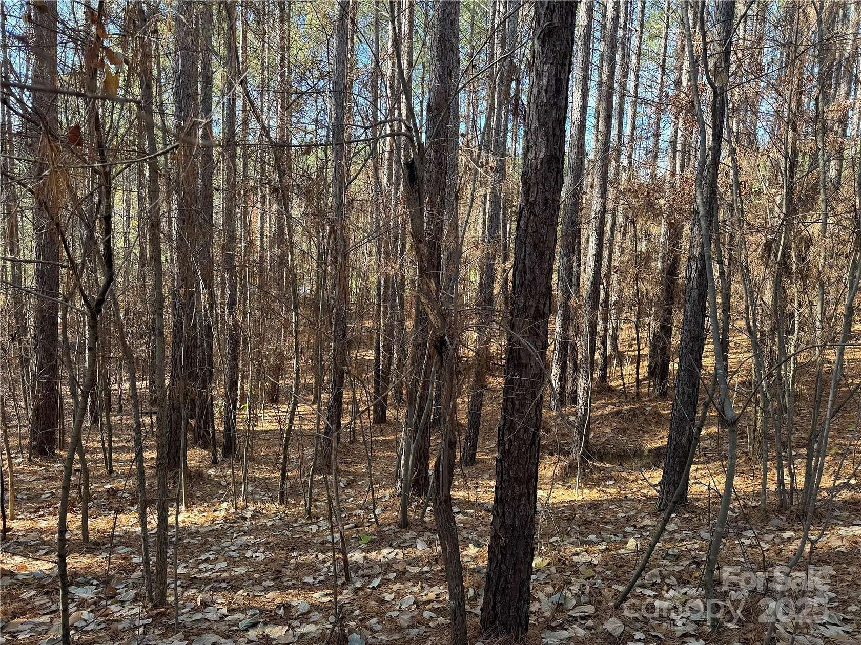 1 Acre of Residential Land for Sale in Troutman, North Carolina