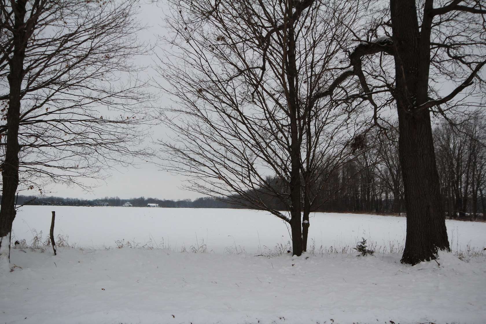 10 Acres of Residential Land for Sale in Vicksburg, Michigan