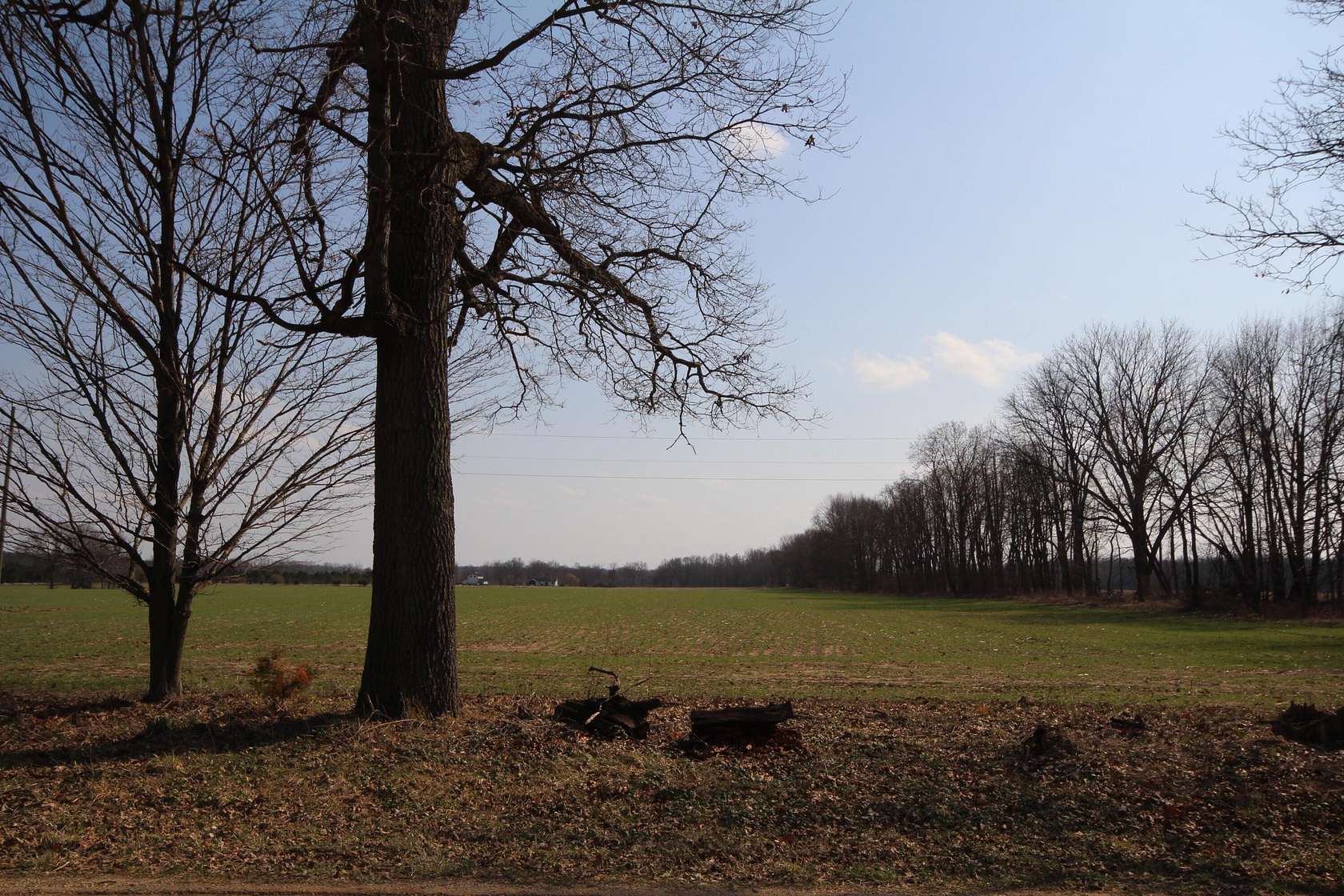 10 Acres of Residential Land for Sale in Vicksburg, Michigan