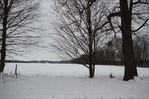 10 Acres of Residential Land for Sale in Vicksburg, Michigan