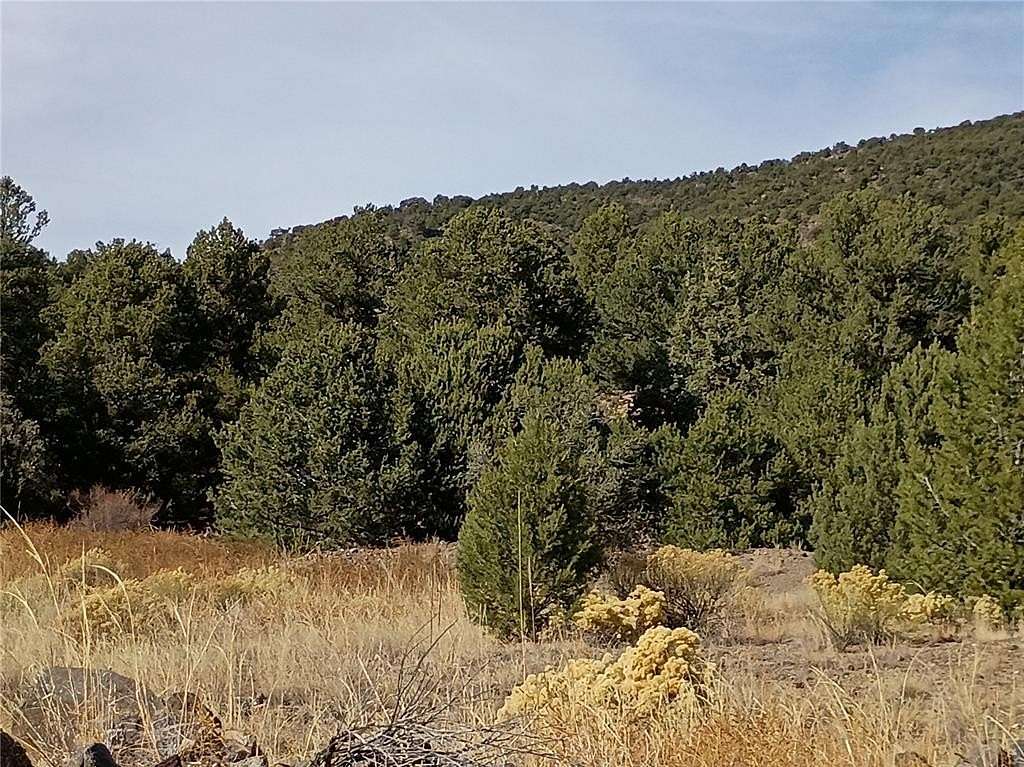 20 Acres of Recreational Land for Sale in Cotopaxi, Colorado