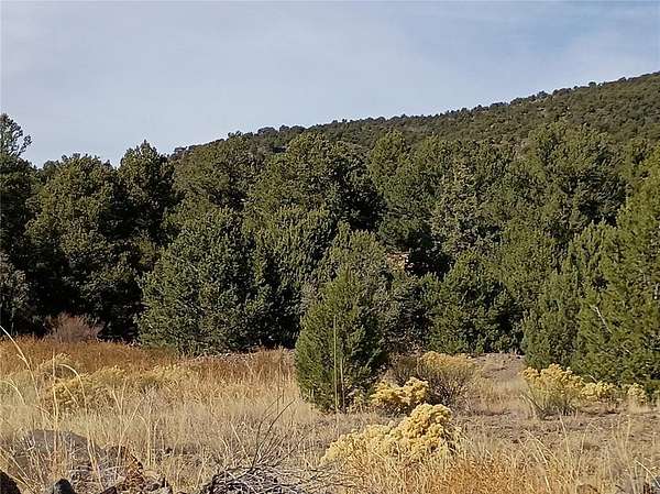 20 Acres of Recreational Land for Sale in Cotopaxi, Colorado