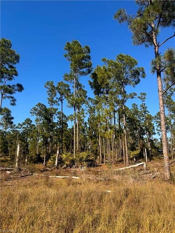 0.23 Acres of Land for Sale in Lehigh Acres, Florida