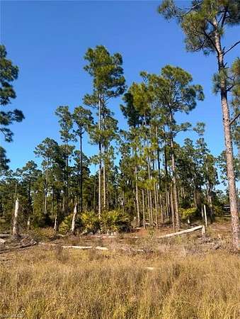 0.23 Acres of Land for Sale in Lehigh Acres, Florida