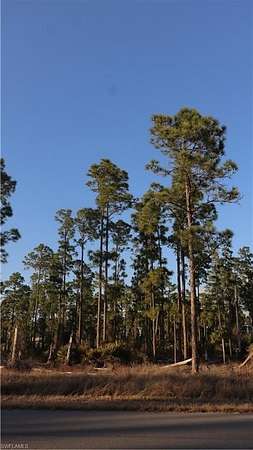 0.23 Acres of Land for Sale in Lehigh Acres, Florida