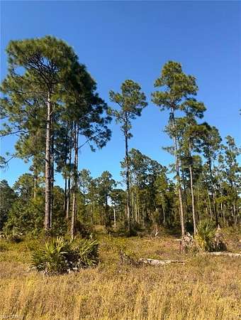 0.23 Acres of Land for Sale in Lehigh Acres, Florida