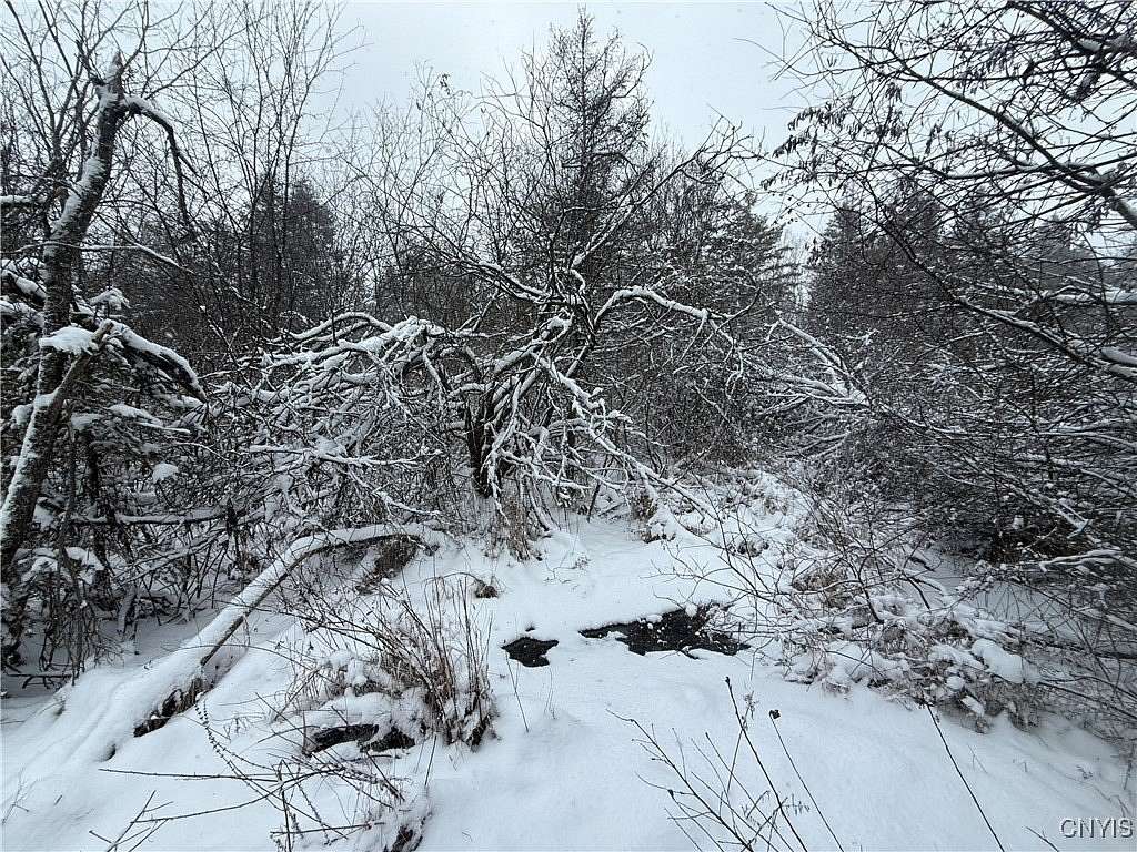 5 Acres of Residential Land for Sale in Theresa, New York