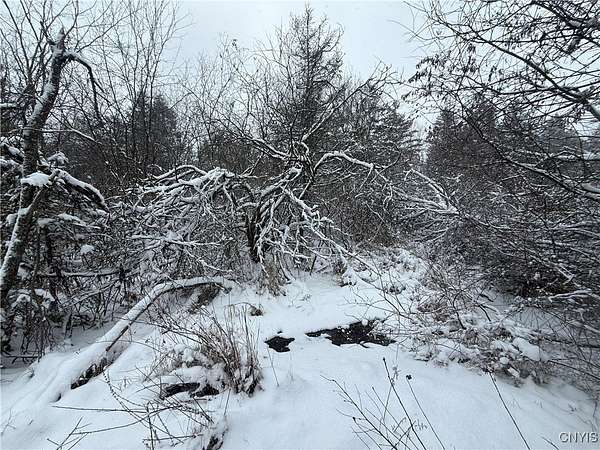 5 Acres of Residential Land for Sale in Theresa, New York