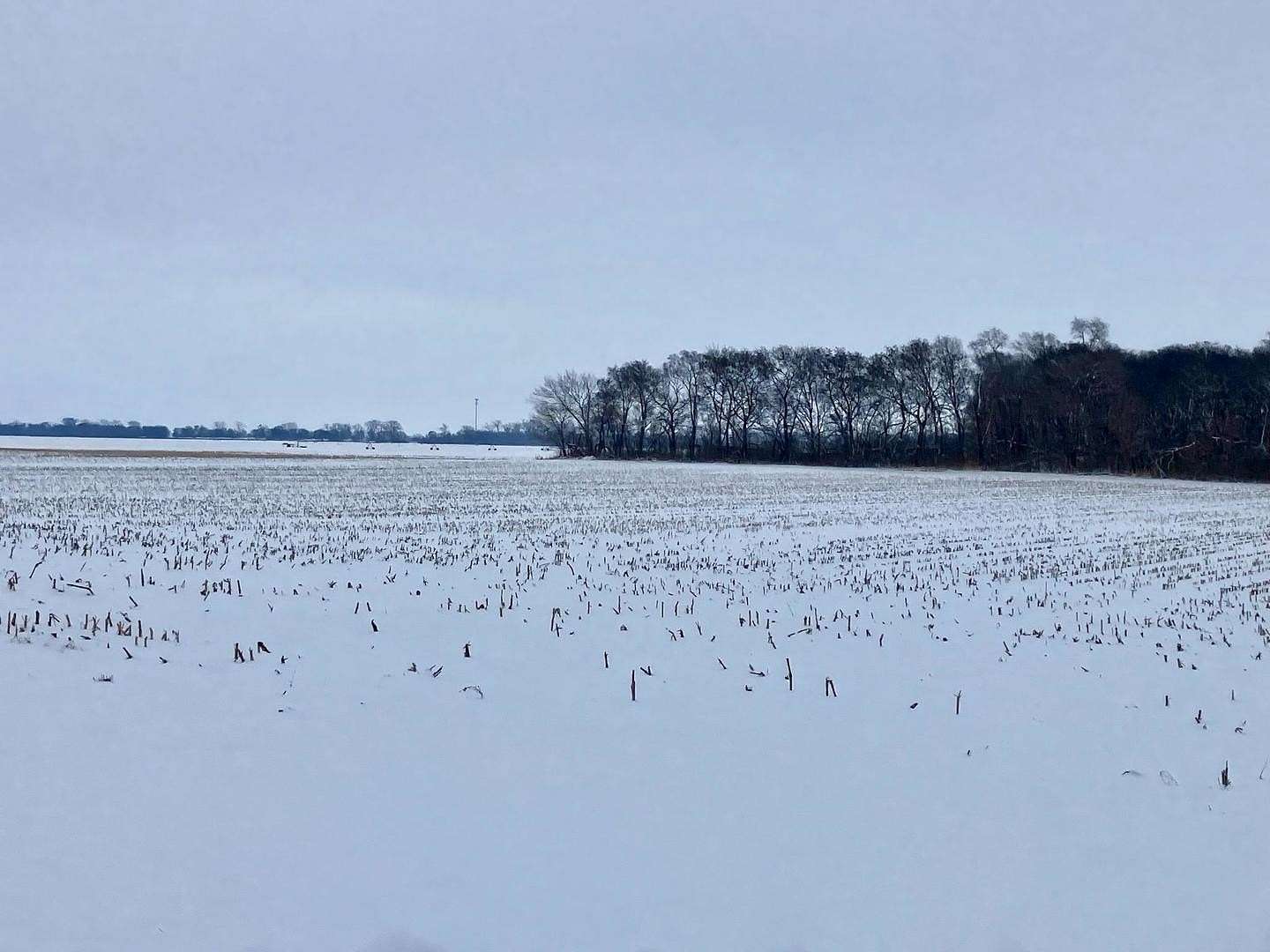 22.1 Acres of Agricultural Land for Sale in Tampico, Illinois