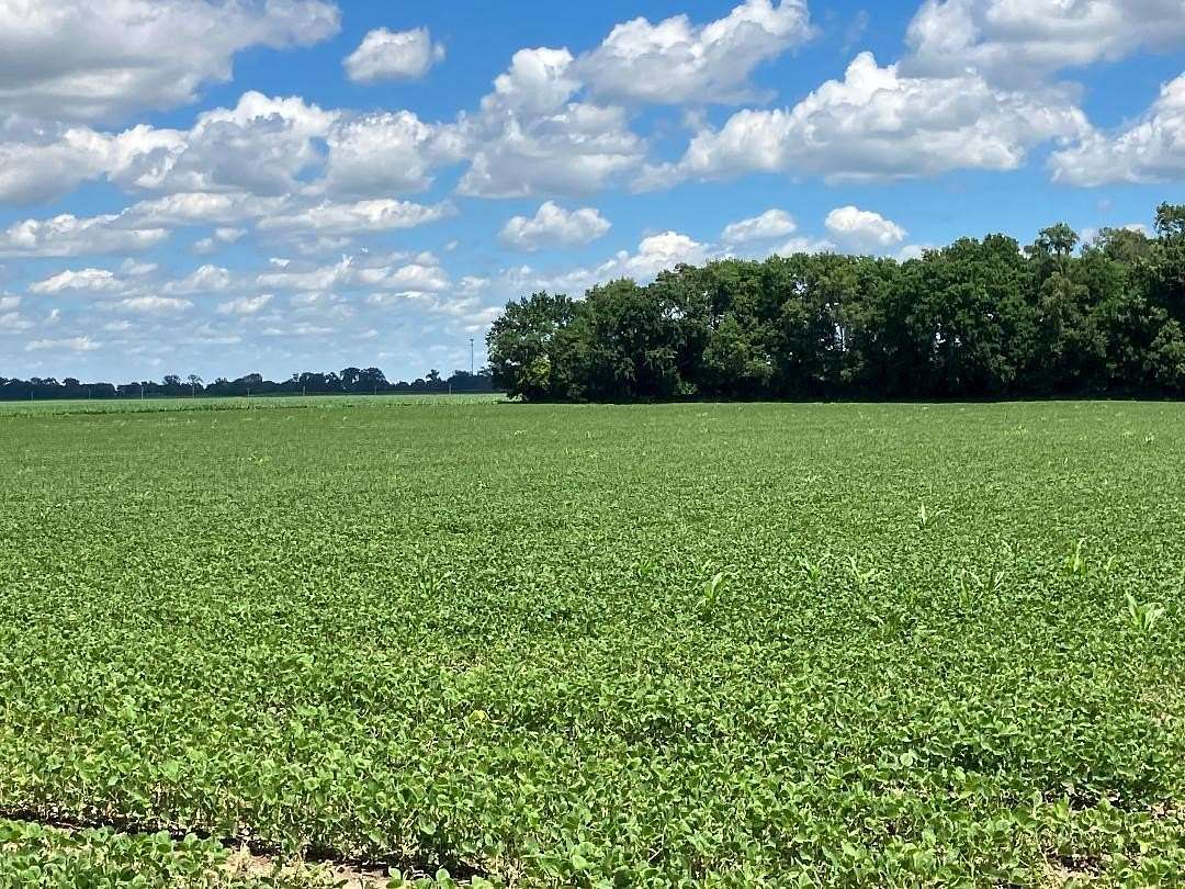 22.1 Acres of Agricultural Land for Sale in Tampico, Illinois