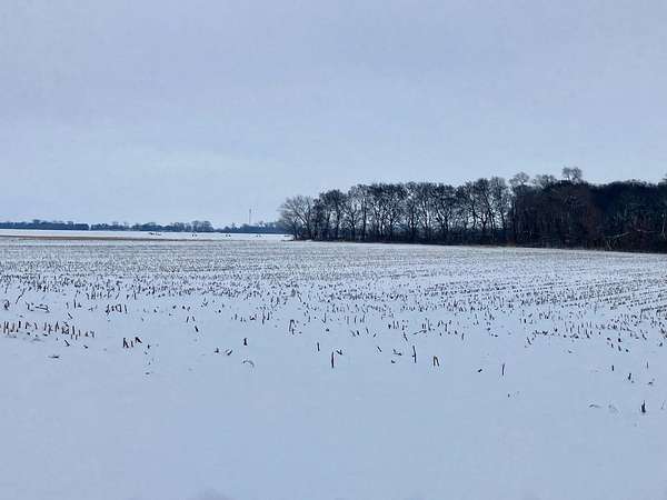 22.1 Acres of Agricultural Land for Sale in Tampico, Illinois