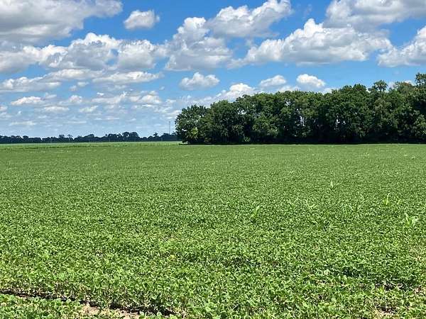 22.1 Acres of Agricultural Land for Sale in Tampico, Illinois
