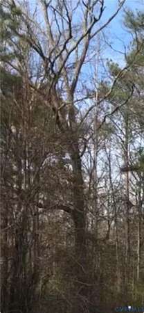 2.8 Acres of Land for Sale in Petersburg, Virginia