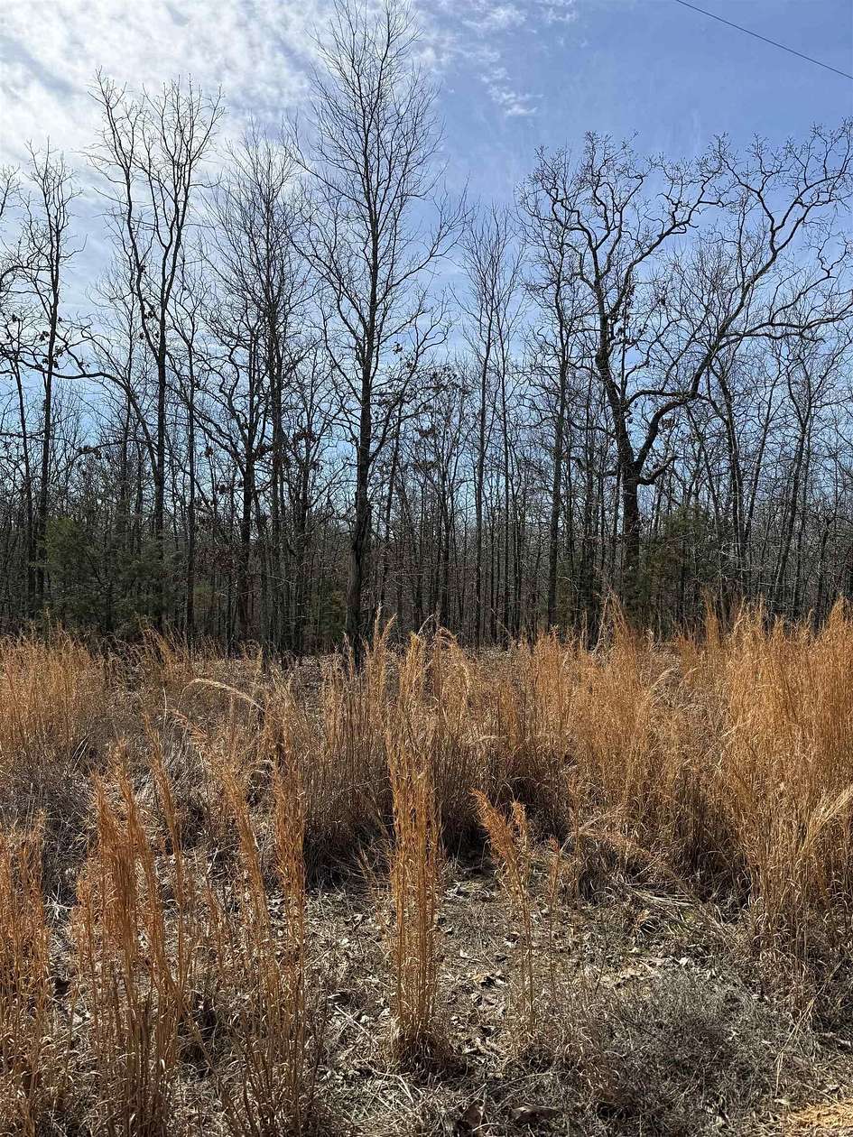 20 Acres of Land for Sale in Conway, Arkansas