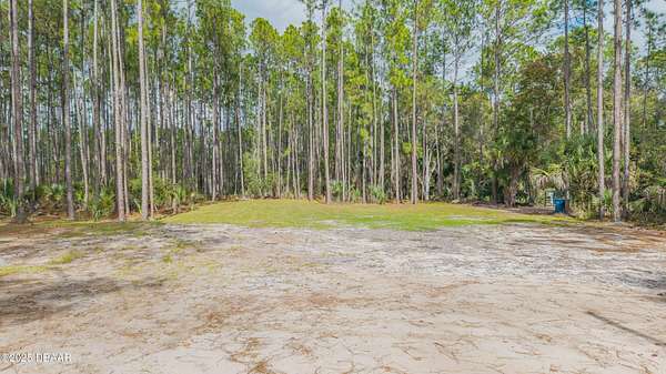 1 Acre of Residential Land for Sale in New Smyrna Beach, Florida