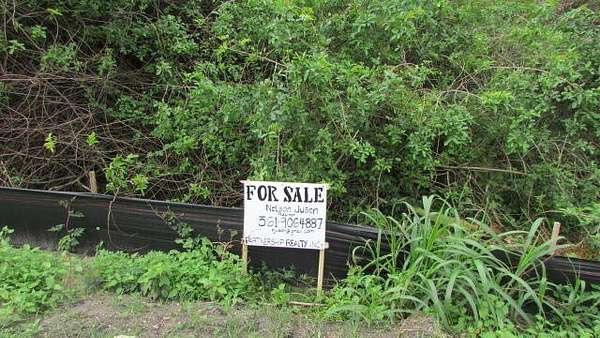 4.26 Acres of Residential Land for Sale in Okeechobee, Florida