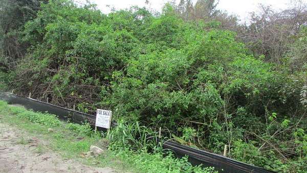 4.26 Acres of Residential Land for Sale in Okeechobee, Florida