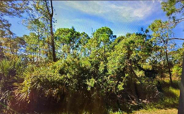 0.25 Acres of Residential Land for Sale in Kissimmee, Florida