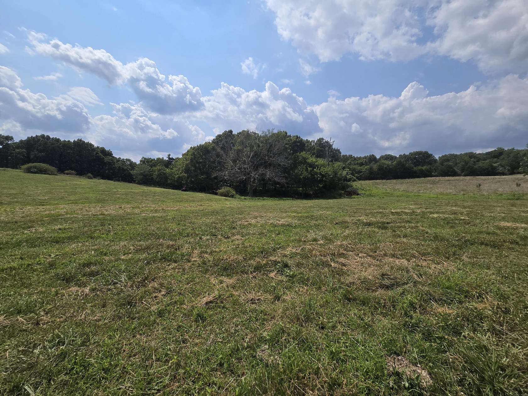 46 Acres of Land for Sale in Cabool, Missouri