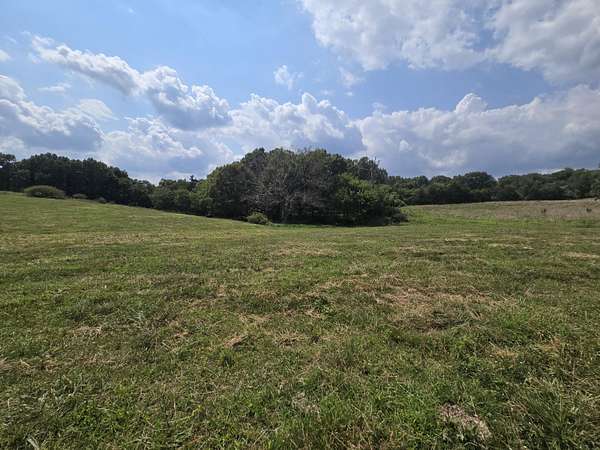 46 Acres of Land for Sale in Cabool, Missouri