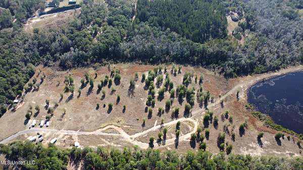 25 Acres of Land for Sale in Lucedale, Mississippi