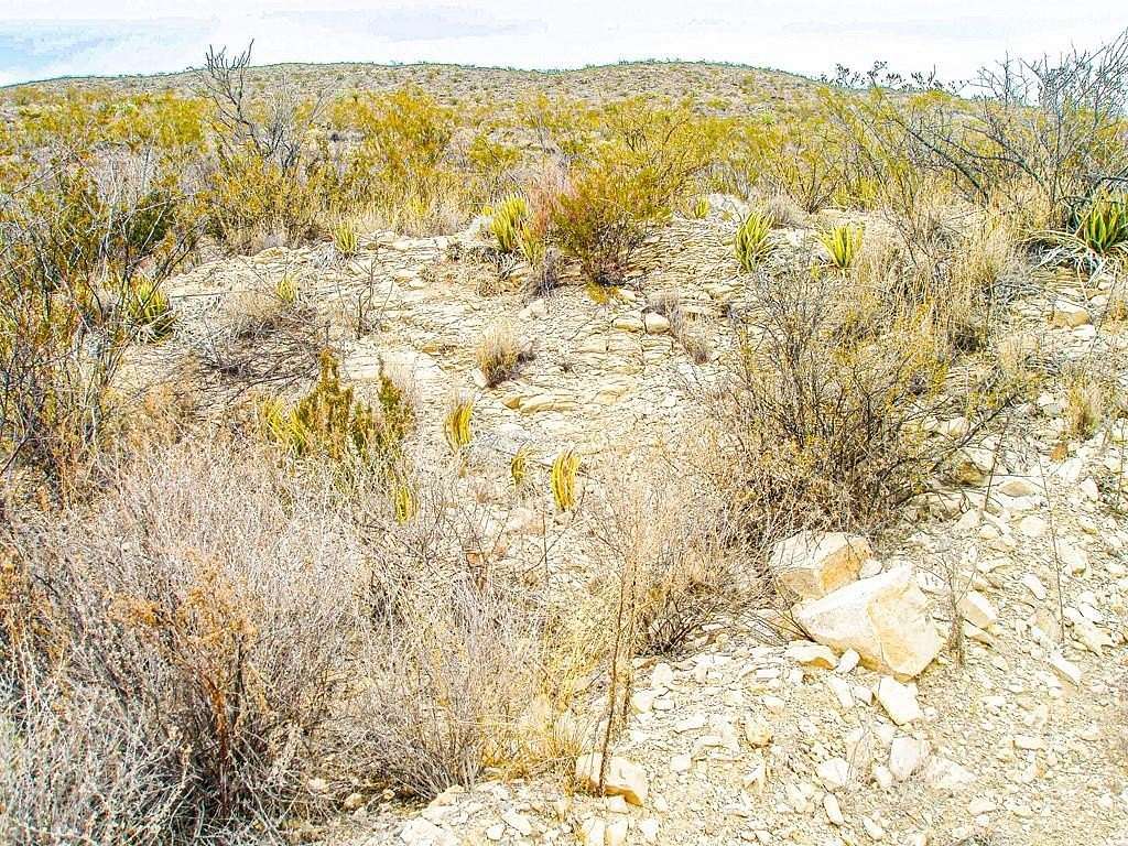 21 Acres of Recreational Land for Sale in Terlingua, Texas