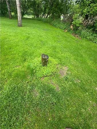 80.1 Acres of Recreational Land for Sale in Pierz Township, Minnesota