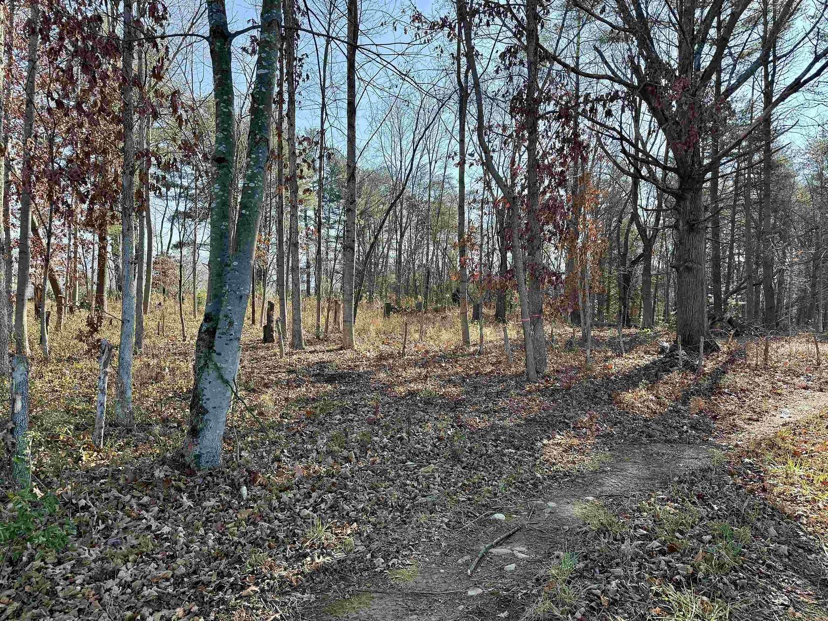 1.39 Acres of Residential Land for Sale in Elkton, Virginia
