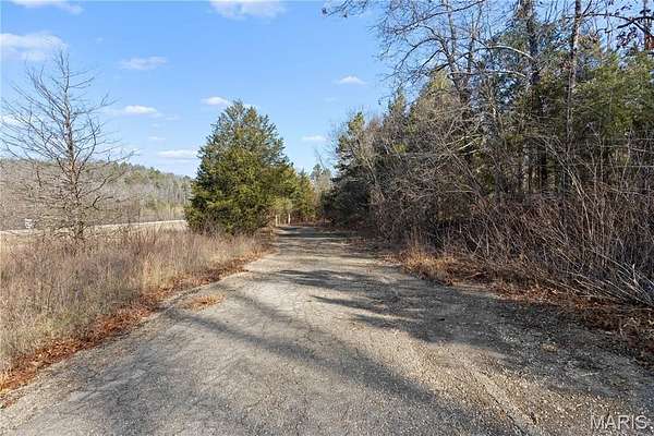 92 Acres of Improved Land for Sale in Silva, Missouri