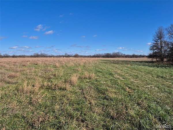 22 Acres of Land for Sale in Montgomery City, Missouri