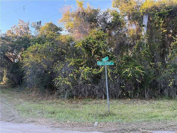 2.65 Acres of Residential Land for Sale in Hernando, Florida