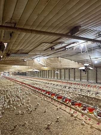 25 Acres of Agricultural Land for Sale in Richton, Mississippi