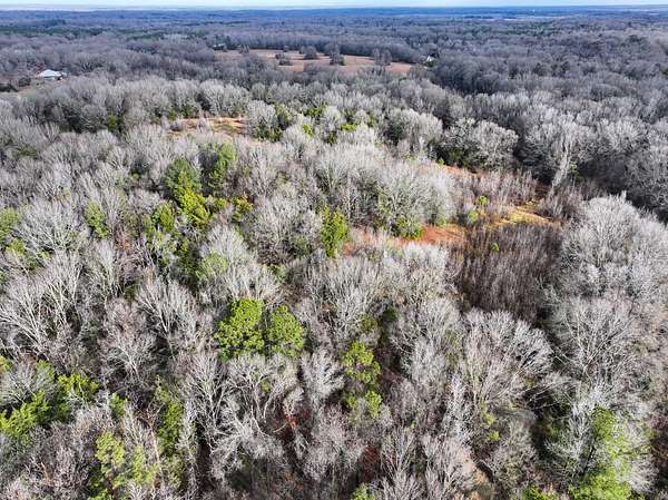 41 Acres of Recreational & Residential Land for Sale in Learned, Mississippi