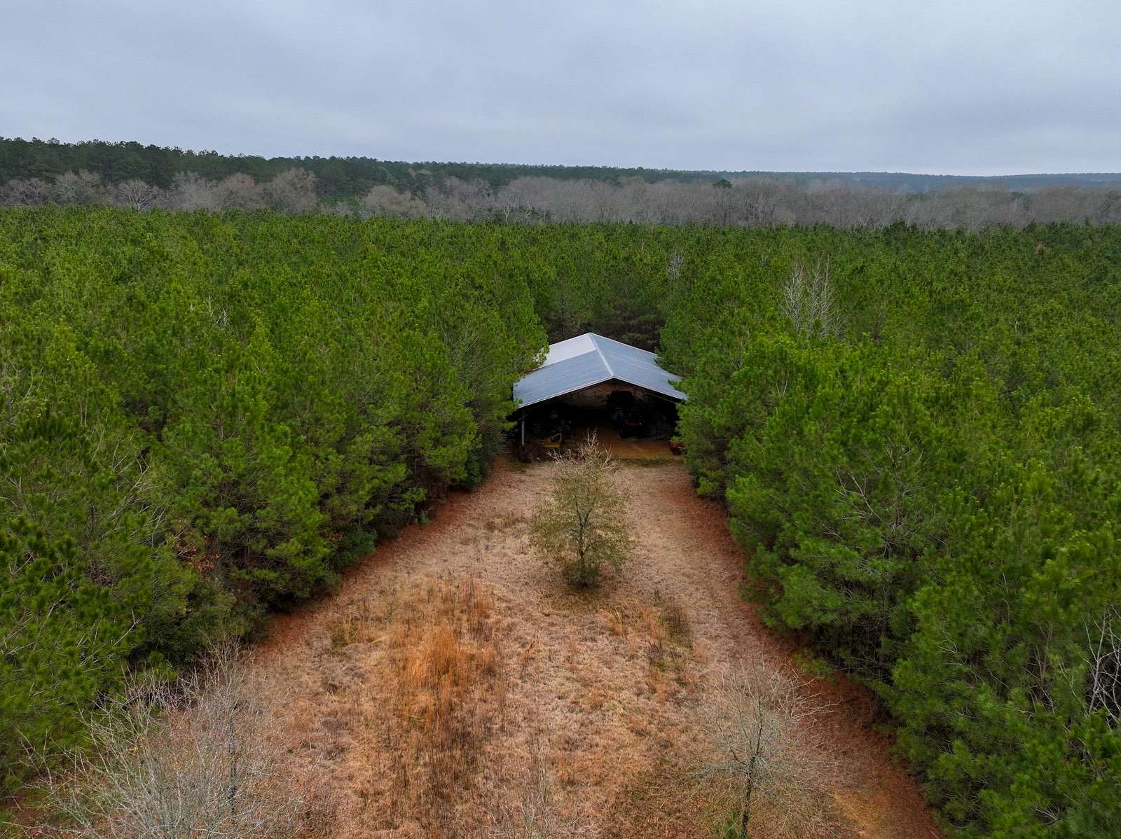 227 Acres of Recreational Land for Sale in Carson, Mississippi