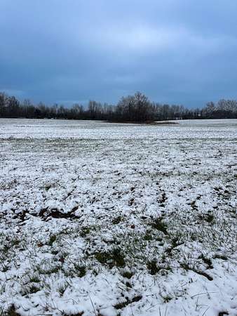 1 Acre of Residential Land for Sale in Tollesboro, Kentucky