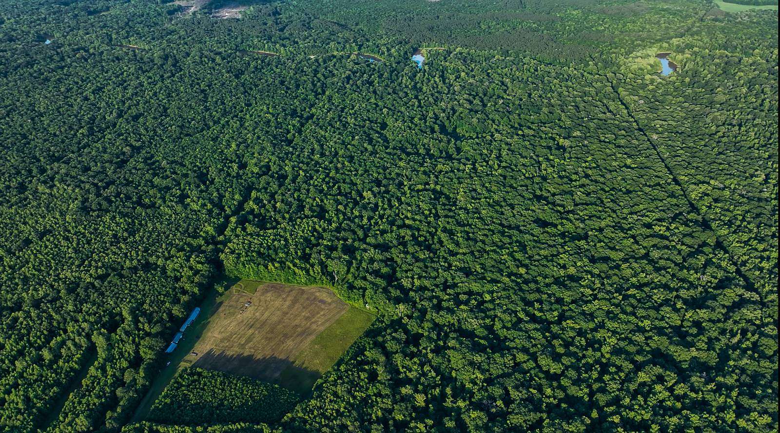 200 Acres of Land for Sale in Vaughan, Mississippi