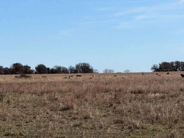 320 Acres of Recreational Land & Farm for Sale in Yates Center, Kansas