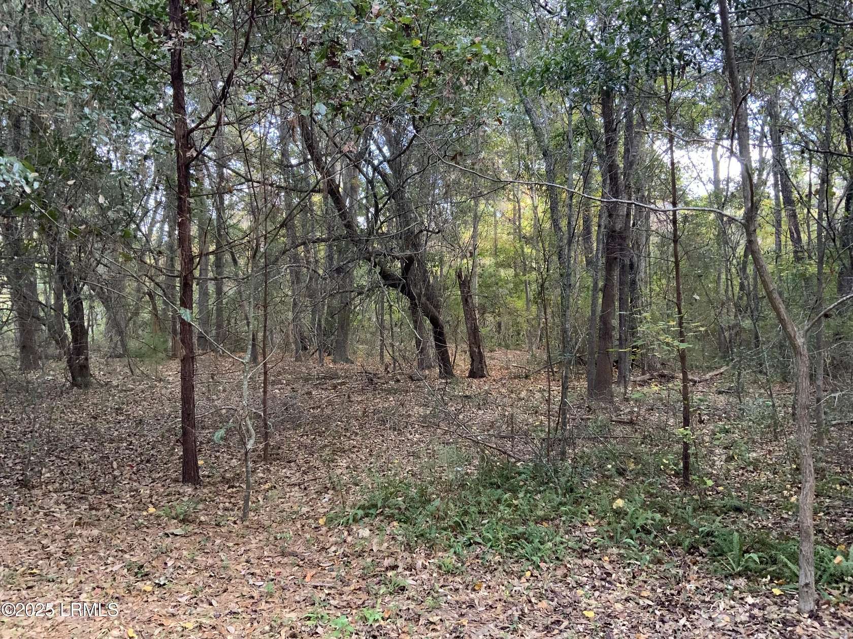 1 Acre of Land for Sale in Seabrook, South Carolina