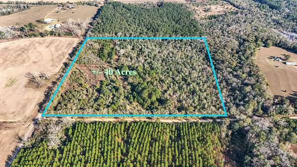 40 Acres of Land for Sale in Florala, Alabama