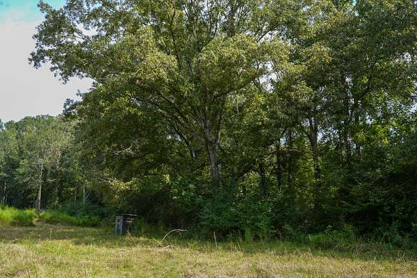 145 Acres of Recreational Land for Sale in Crystal Springs, Mississippi